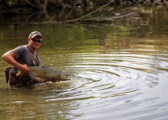 Orange 1og 1-4 Betten Zentral & Ruhig 3 Min Zur Tram Und Apartment